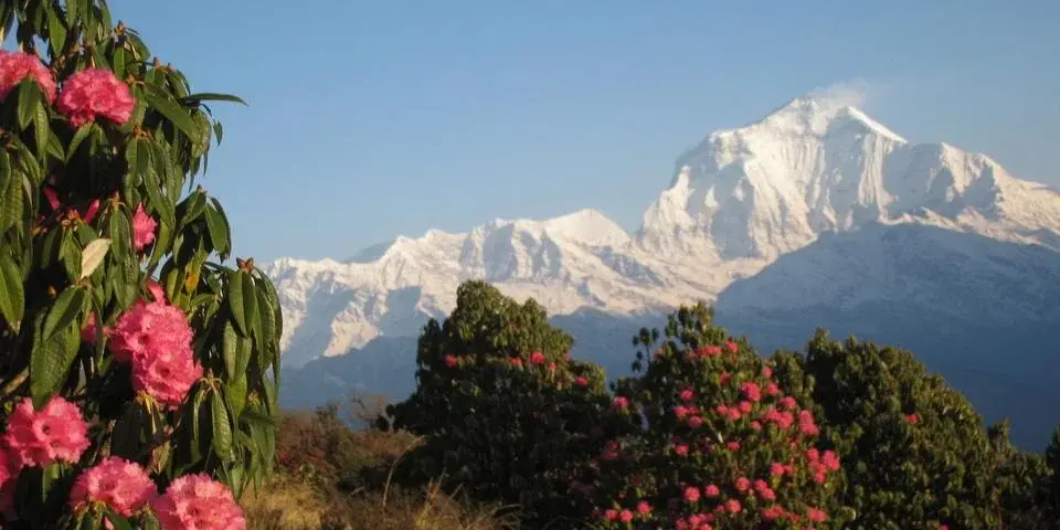 Annapurna Base Camp Trek, landscape 1