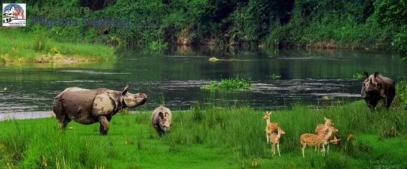 Kathmandu, Chitwan, Lumbini & Pokhara Tour, landscape 3